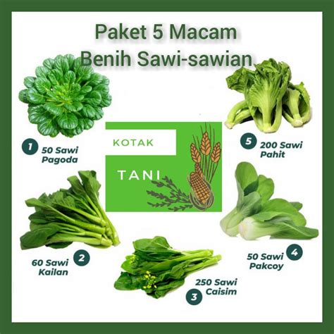 Jual Paket 5 Macam Jenis Sawi-sawian; Sawi Pakcoy, Pagoda, Kailan, Pahit, Caisim | Shopee Indonesia