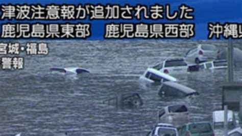 Tsunami Warning Systems: Lessons from Japan