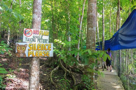 Philippine Tarsier Conservation Area in Loboc, Bohol | The Poor ...