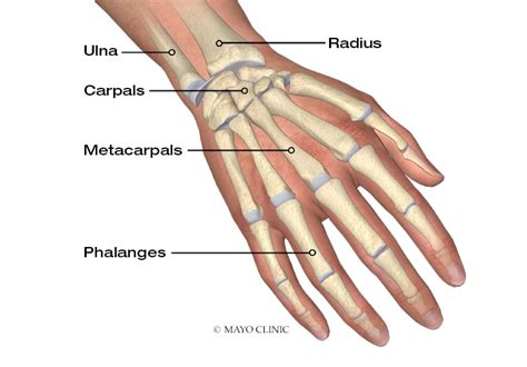 Hand injuries: Who needs urgent transfer to see a hand surgeon? - Mayo Clinic