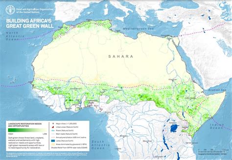 The Great Green Wall Is Failing, But its Legacy Could Still Be A Success | Earth.Org