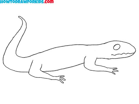 Reptiles Drawings