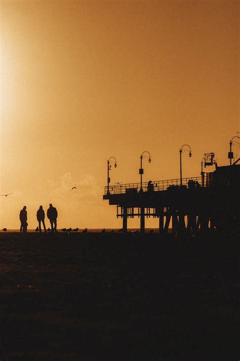 A group of people walking on the beach at sunset · Free Stock Photo