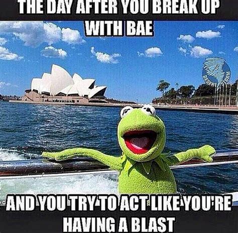 Kermit X Funny Quotes. QuotesGram