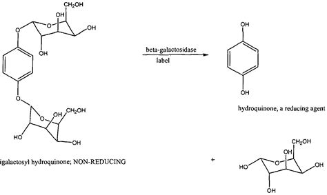 Acid phosphatase