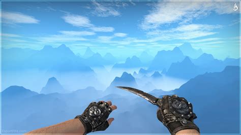 Best Glove Knife Combos under USD 250 in Counter-Strike