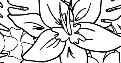 Tropical Flowers Coloring Pages