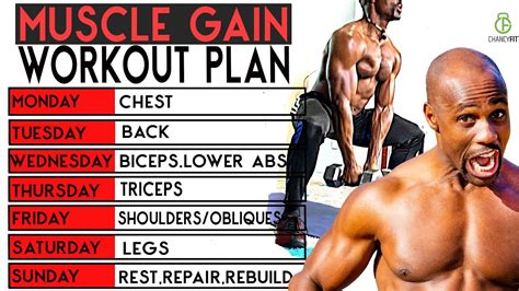 The BEST FULL WEEK WORKOUT PLAN FOR MUSCLE GAIN WORKOUT WITH DUMBBELL AT HOME - YouTube