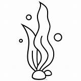 Seaweed Coloringway Sketch Coloring Page sketch template