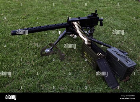 M1919 Browning machine gun with ammunition on display at military reenactment event with grass ...