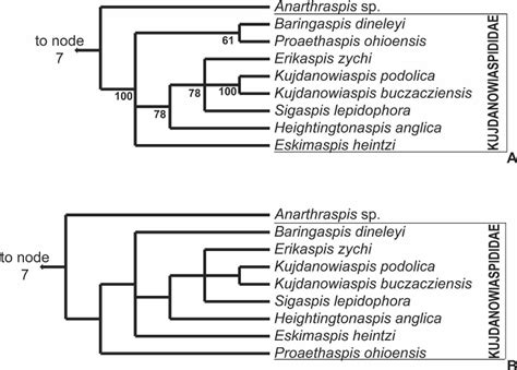 Two proposed topologies for the resolution of the polytomy within the... | Download Scientific ...