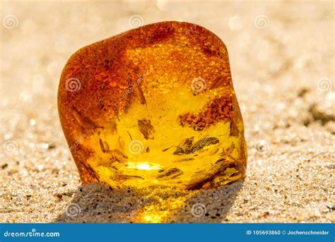 Amber on a Beach of the Baltic Sea Stock Photo - Image of excavation, crystal: 105693860