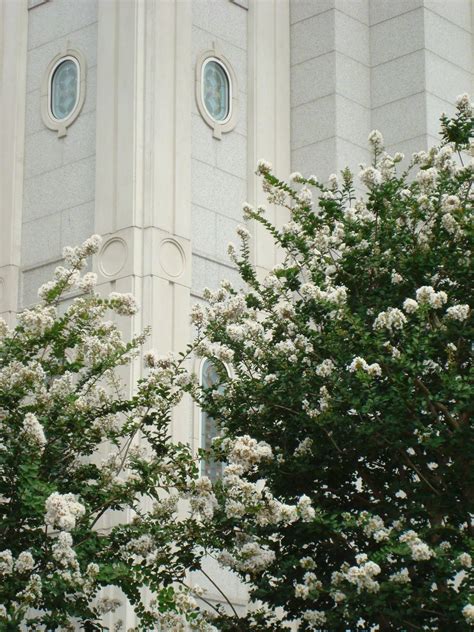 The Grounds of the Houston Texas Temple