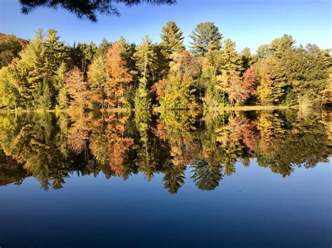 PHOTOS: Fall foliage across western Massachusetts | WWLP