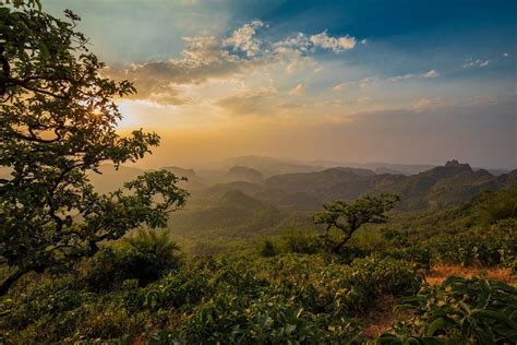 golden evening in satpura mountain range | Smithsonian Photo Contest | Smithsonian Magazine