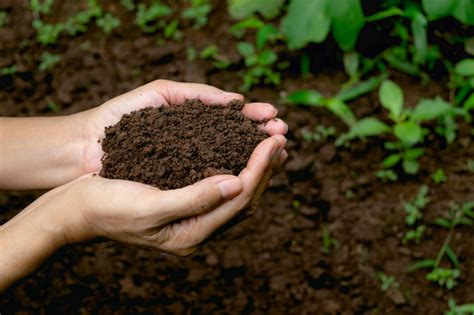 4 Ways to Maintain Healthy Soil in New Jersey - Trees Unlimited