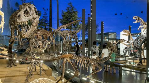 The Fukui Prefectural Dinosaur Museum | Kaname Japan