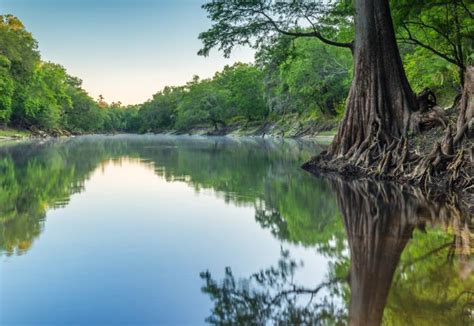 SUWANNEE RIVER EXPEDITIONS - Home