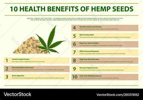 Hemp Seeds Benefits