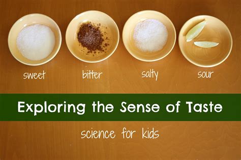 Exploring the Sense of Taste ~ Learn Play Imagine