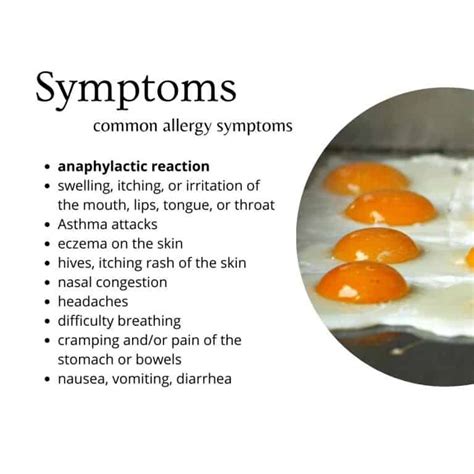 Egg Allergy: What to Eat and What to Avoid - Living Beyond Allergies