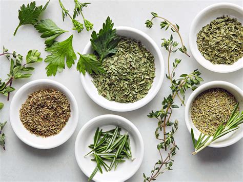 Tips and Tricks to Dry Your Herbs Successfully | Kellee Maize Blog