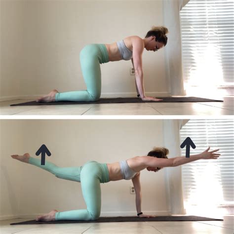 4 Bird Dog Variations for Bendier Backbends — Dani Winks Flexibility