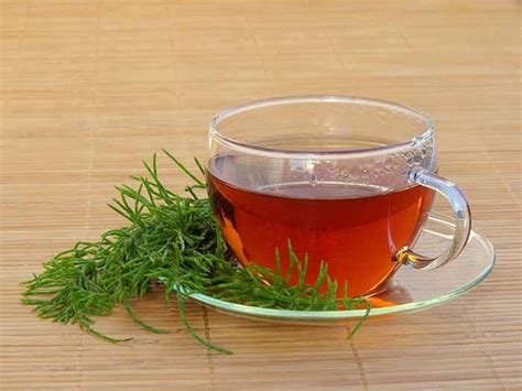 How to Make Horsetail Tea | Organic Facts