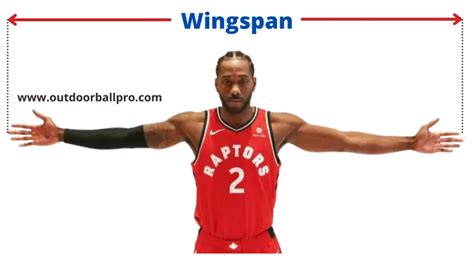 NBA Players Wingspan - Role of Wingspan in Basketball Game