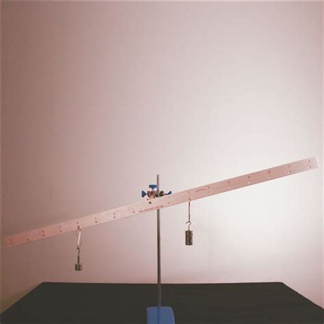 Hanging Balance Beam Set | School Science Equipment ...