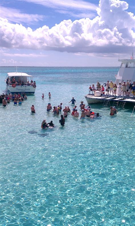 Stingray City, Grand Cayman | Caribbean travel, Grand cayman, Cayman islands