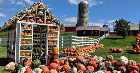 Top Fall Farm Activities Near Glens Falls, NY for Families