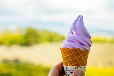 Furano Hokkaido lavender ice cream Tokyo weekender