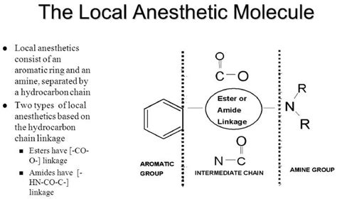 PDF Télécharger amide or ester local anesthetic Gratuit PDF | PDFprof.com