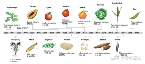 Nature Genetics | 将作物基因组学从实验室推广到田间 - 知乎