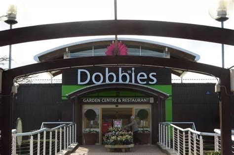 Dobbies garden centre group signs deal with online grocer Ocado - Chronicle Live