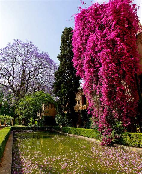 Jardines de Las Reales Alcazares | GardensOnline