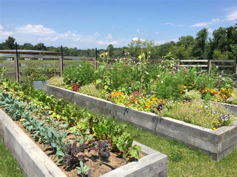 Ways to Learn about Gardening in Local Community - House & Homestead