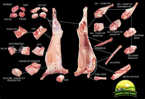 Sheep Cuts Of Meat Chart - Lamb Cuts & Cooking Methods | for the love of lamb™ - The spruce ...