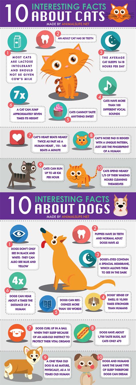 Top 10 interesting facts about cats and dogs - Animals Life - Donate ...