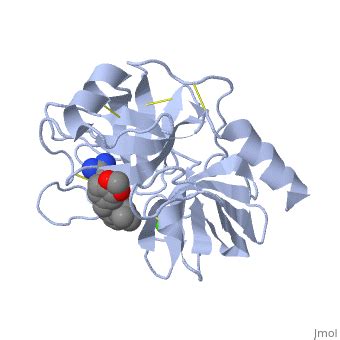 Trypsin - Proteopedia, life in 3D