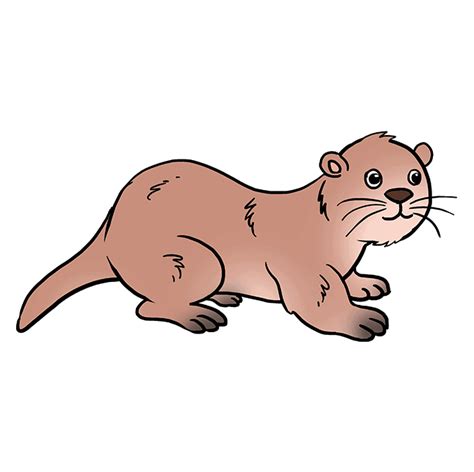 How to Draw an Otter - Really Easy Drawing Tutorial