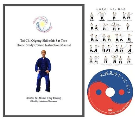 18 Healing Movements – Tai Chi Qigong Shibashi Introduction Set 2 - Certified Yoga Therapist ...