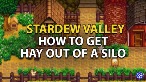 How To Get Hay Out Of Silo Stardew Valley Mobile - BEST GAMES WALKTHROUGH