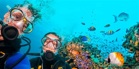 Scuba diving in the Sea of Cortez | Diving Information