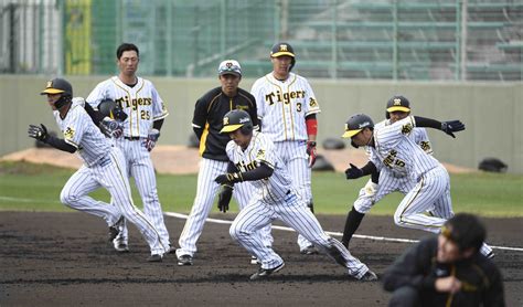 Baseball - the eight NPB teams that train in Okinawa for spring camps | JAPAN Forward