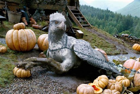 Rubeus Hagrid's pets - Harry Potter Wiki - Wikia