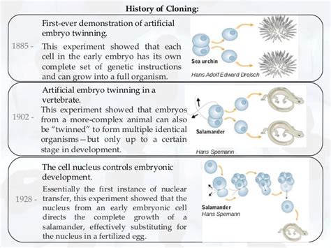 History of Cloning and Ethical Issues of Human Cloning