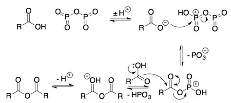 organic chemistry - Mechanism of carboxylic acid and amide dehydration ...