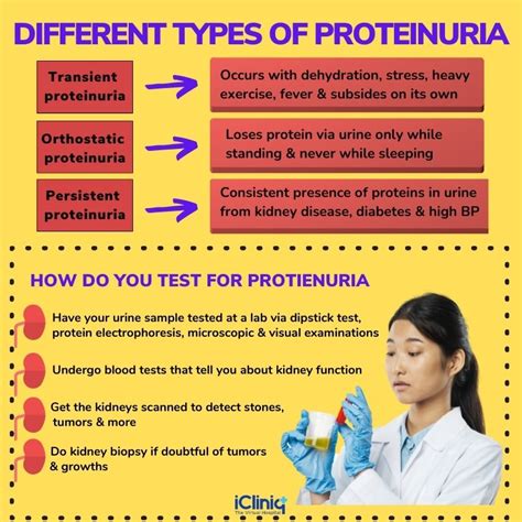 Proteinuria: Causes, Symptoms, Tests Treatment, 46% OFF